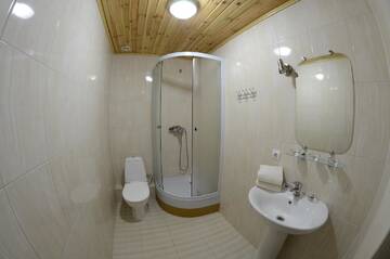 Фото номера Двухместный номер с 1 кроватью Отель Curtea Boierului Hotel г. Peresecina 10